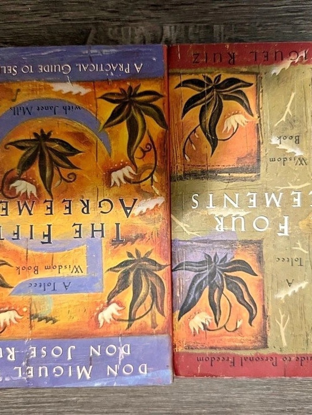 Amber-Allen Publishing The Four Agreements and The Fifth Agreement Paperback